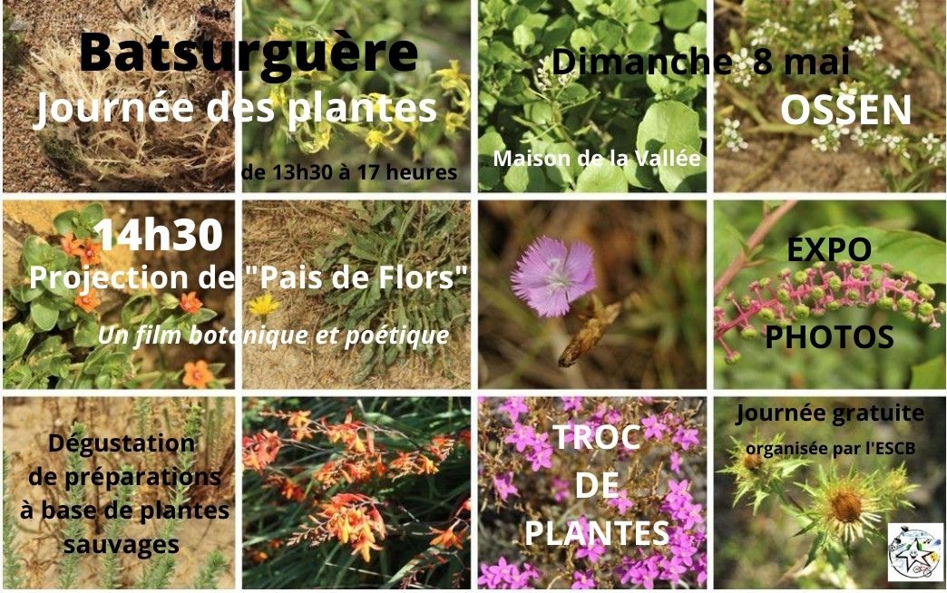 Journee des plantes