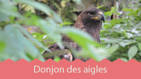 Donjon des aigles