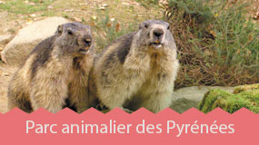 Parc animalier des Pyrénées